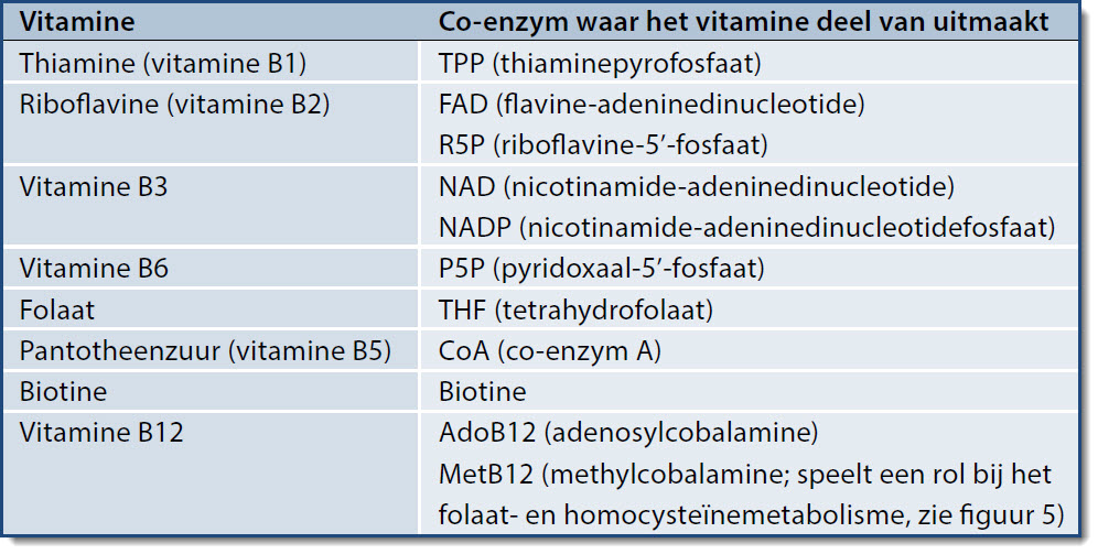 B-vitamines de essentiële rol onze stofwisseling | OrthoKennis